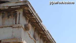 [P07] Agora Antica - Templul lui Hefaistos » foto by Camelia19
 - 
<span class="allrVoted glyphicon glyphicon-heart hidden" id="av565617"></span>
<a class="m-l-10 hidden" id="sv565617" onclick="voting_Foto_DelVot(,565617,1710)" role="button">șterge vot <span class="glyphicon glyphicon-remove"></span></a>
<a id="v9565617" class=" c-red"  onclick="voting_Foto_SetVot(565617)" role="button"><span class="glyphicon glyphicon-heart-empty"></span> <b>LIKE</b> = Votează poza</a> <img class="hidden"  id="f565617W9" src="/imagini/loader.gif" border="0" /><span class="AjErrMes hidden" id="e565617ErM"></span>