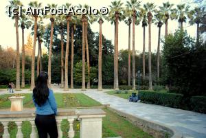 [P03] Gradina Botanica » foto by andreea2995
 - 
<span class="allrVoted glyphicon glyphicon-heart hidden" id="av842494"></span>
<a class="m-l-10 hidden" id="sv842494" onclick="voting_Foto_DelVot(,842494,1710)" role="button">șterge vot <span class="glyphicon glyphicon-remove"></span></a>
<a id="v9842494" class=" c-red"  onclick="voting_Foto_SetVot(842494)" role="button"><span class="glyphicon glyphicon-heart-empty"></span> <b>LIKE</b> = Votează poza</a> <img class="hidden"  id="f842494W9" src="/imagini/loader.gif" border="0" /><span class="AjErrMes hidden" id="e842494ErM"></span>