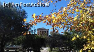 [P03] Templul lui Hephaistos văzut din Agora Antică (greacă)  » foto by irinad
 - 
<span class="allrVoted glyphicon glyphicon-heart hidden" id="av927802"></span>
<a class="m-l-10 hidden" id="sv927802" onclick="voting_Foto_DelVot(,927802,1710)" role="button">șterge vot <span class="glyphicon glyphicon-remove"></span></a>
<a id="v9927802" class=" c-red"  onclick="voting_Foto_SetVot(927802)" role="button"><span class="glyphicon glyphicon-heart-empty"></span> <b>LIKE</b> = Votează poza</a> <img class="hidden"  id="f927802W9" src="/imagini/loader.gif" border="0" /><span class="AjErrMes hidden" id="e927802ErM"></span>