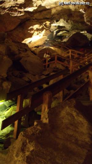 [P49] Lamprechtshöhle - se urcă pe scările astea preț de vreo 7 etaje, sau mai bine...  » foto by Dragoș_MD
 - 
<span class="allrVoted glyphicon glyphicon-heart hidden" id="av382072"></span>
<a class="m-l-10 hidden" id="sv382072" onclick="voting_Foto_DelVot(,382072,1732)" role="button">șterge vot <span class="glyphicon glyphicon-remove"></span></a>
<a id="v9382072" class=" c-red"  onclick="voting_Foto_SetVot(382072)" role="button"><span class="glyphicon glyphicon-heart-empty"></span> <b>LIKE</b> = Votează poza</a> <img class="hidden"  id="f382072W9" src="/imagini/loader.gif" border="0" /><span class="AjErrMes hidden" id="e382072ErM"></span>