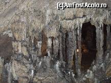 [P14] Coloane din Pestera Muierilor » foto by crima
 - 
<span class="allrVoted glyphicon glyphicon-heart hidden" id="av163313"></span>
<a class="m-l-10 hidden" id="sv163313" onclick="voting_Foto_DelVot(,163313,1755)" role="button">șterge vot <span class="glyphicon glyphicon-remove"></span></a>
<a id="v9163313" class=" c-red"  onclick="voting_Foto_SetVot(163313)" role="button"><span class="glyphicon glyphicon-heart-empty"></span> <b>LIKE</b> = Votează poza</a> <img class="hidden"  id="f163313W9" src="/imagini/loader.gif" border="0" /><span class="AjErrMes hidden" id="e163313ErM"></span>
