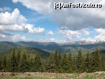 [P10] ...IDEM... :) » foto by Daniel35
 - 
<span class="allrVoted glyphicon glyphicon-heart hidden" id="av77404"></span>
<a class="m-l-10 hidden" id="sv77404" onclick="voting_Foto_DelVot(,77404,1755)" role="button">șterge vot <span class="glyphicon glyphicon-remove"></span></a>
<a id="v977404" class=" c-red"  onclick="voting_Foto_SetVot(77404)" role="button"><span class="glyphicon glyphicon-heart-empty"></span> <b>LIKE</b> = Votează poza</a> <img class="hidden"  id="f77404W9" src="/imagini/loader.gif" border="0" /><span class="AjErrMes hidden" id="e77404ErM"></span>