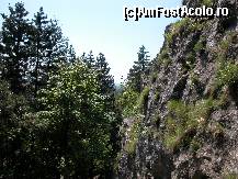 [P20] Peisaje frumoase din zona pesterii Muierilor dupa iesirea din pestera... Un perete de stanca... » foto by Daniel35
 - 
<span class="allrVoted glyphicon glyphicon-heart hidden" id="av77417"></span>
<a class="m-l-10 hidden" id="sv77417" onclick="voting_Foto_DelVot(,77417,1755)" role="button">șterge vot <span class="glyphicon glyphicon-remove"></span></a>
<a id="v977417" class=" c-red"  onclick="voting_Foto_SetVot(77417)" role="button"><span class="glyphicon glyphicon-heart-empty"></span> <b>LIKE</b> = Votează poza</a> <img class="hidden"  id="f77417W9" src="/imagini/loader.gif" border="0" /><span class="AjErrMes hidden" id="e77417ErM"></span>