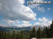 [P09] Brazi frumoshi, nori pufoshi, muntzi... maestoshi... :) » foto by Daniel35
 - 
<span class="allrVoted glyphicon glyphicon-heart hidden" id="av77403"></span>
<a class="m-l-10 hidden" id="sv77403" onclick="voting_Foto_DelVot(,77403,1755)" role="button">șterge vot <span class="glyphicon glyphicon-remove"></span></a>
<a id="v977403" class=" c-red"  onclick="voting_Foto_SetVot(77403)" role="button"><span class="glyphicon glyphicon-heart-empty"></span> <b>LIKE</b> = Votează poza</a> <img class="hidden"  id="f77403W9" src="/imagini/loader.gif" border="0" /><span class="AjErrMes hidden" id="e77403ErM"></span>