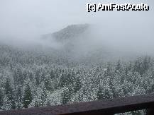 [P10] este luna mai, sa stiti, nu se aud pasarelele cantand? » foto by valimi
 - 
<span class="allrVoted glyphicon glyphicon-heart hidden" id="av74529"></span>
<a class="m-l-10 hidden" id="sv74529" onclick="voting_Foto_DelVot(,74529,1755)" role="button">șterge vot <span class="glyphicon glyphicon-remove"></span></a>
<a id="v974529" class=" c-red"  onclick="voting_Foto_SetVot(74529)" role="button"><span class="glyphicon glyphicon-heart-empty"></span> <b>LIKE</b> = Votează poza</a> <img class="hidden"  id="f74529W9" src="/imagini/loader.gif" border="0" /><span class="AjErrMes hidden" id="e74529ErM"></span>