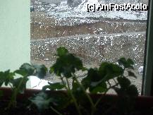 [P11] noroc cu verdeata de la geamuri, ca afara era - Brrr. » foto by valimi
 - 
<span class="allrVoted glyphicon glyphicon-heart hidden" id="av74532"></span>
<a class="m-l-10 hidden" id="sv74532" onclick="voting_Foto_DelVot(,74532,1755)" role="button">șterge vot <span class="glyphicon glyphicon-remove"></span></a>
<a id="v974532" class=" c-red"  onclick="voting_Foto_SetVot(74532)" role="button"><span class="glyphicon glyphicon-heart-empty"></span> <b>LIKE</b> = Votează poza</a> <img class="hidden"  id="f74532W9" src="/imagini/loader.gif" border="0" /><span class="AjErrMes hidden" id="e74532ErM"></span>