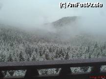 [P17] am una si cu data, sa nu credeti ca sunt trucaje... » foto by valimi
 - 
<span class="allrVoted glyphicon glyphicon-heart hidden" id="av74549"></span>
<a class="m-l-10 hidden" id="sv74549" onclick="voting_Foto_DelVot(,74549,1755)" role="button">șterge vot <span class="glyphicon glyphicon-remove"></span></a>
<a id="v974549" class=" c-red"  onclick="voting_Foto_SetVot(74549)" role="button"><span class="glyphicon glyphicon-heart-empty"></span> <b>LIKE</b> = Votează poza</a> <img class="hidden"  id="f74549W9" src="/imagini/loader.gif" border="0" /><span class="AjErrMes hidden" id="e74549ErM"></span>