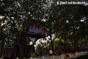 [P15] casute in copaci, la scoala!  » foto by andreea72
 - 
<span class="allrVoted glyphicon glyphicon-heart hidden" id="av568286"></span>
<a class="m-l-10 hidden" id="sv568286" onclick="voting_Foto_DelVot(,568286,1769)" role="button">șterge vot <span class="glyphicon glyphicon-remove"></span></a>
<a id="v9568286" class=" c-red"  onclick="voting_Foto_SetVot(568286)" role="button"><span class="glyphicon glyphicon-heart-empty"></span> <b>LIKE</b> = Votează poza</a> <img class="hidden"  id="f568286W9" src="/imagini/loader.gif" border="0" /><span class="AjErrMes hidden" id="e568286ErM"></span>