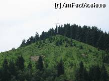 [P01] Putna - dealul de pe care Stefan a ales locul manastirii » foto by Diaura*
 - 
<span class="allrVoted glyphicon glyphicon-heart hidden" id="av54881"></span>
<a class="m-l-10 hidden" id="sv54881" onclick="voting_Foto_DelVot(,54881,1781)" role="button">șterge vot <span class="glyphicon glyphicon-remove"></span></a>
<a id="v954881" class=" c-red"  onclick="voting_Foto_SetVot(54881)" role="button"><span class="glyphicon glyphicon-heart-empty"></span> <b>LIKE</b> = Votează poza</a> <img class="hidden"  id="f54881W9" src="/imagini/loader.gif" border="0" /><span class="AjErrMes hidden" id="e54881ErM"></span>