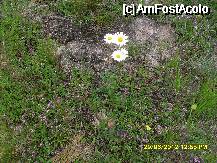 [P21]  -- <small>// FĂRĂ DESCRIERE</small> » foto by adryana
 - 
<span class="allrVoted glyphicon glyphicon-heart hidden" id="av333922"></span>
<a class="m-l-10 hidden" id="sv333922" onclick="voting_Foto_DelVot(,333922,1782)" role="button">șterge vot <span class="glyphicon glyphicon-remove"></span></a>
<a id="v9333922" class=" c-red"  onclick="voting_Foto_SetVot(333922)" role="button"><span class="glyphicon glyphicon-heart-empty"></span> <b>LIKE</b> = Votează poza</a> <img class="hidden"  id="f333922W9" src="/imagini/loader.gif" border="0" /><span class="AjErrMes hidden" id="e333922ErM"></span>