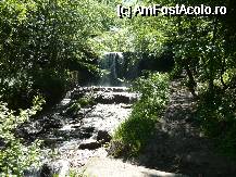 [P06] Cascada din padure » foto by Kyandra
 - 
<span class="allrVoted glyphicon glyphicon-heart hidden" id="av56423"></span>
<a class="m-l-10 hidden" id="sv56423" onclick="voting_Foto_DelVot(,56423,1790)" role="button">șterge vot <span class="glyphicon glyphicon-remove"></span></a>
<a id="v956423" class=" c-red"  onclick="voting_Foto_SetVot(56423)" role="button"><span class="glyphicon glyphicon-heart-empty"></span> <b>LIKE</b> = Votează poza</a> <img class="hidden"  id="f56423W9" src="/imagini/loader.gif" border="0" /><span class="AjErrMes hidden" id="e56423ErM"></span>