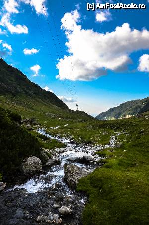 [P10] unul din zecile de parauri de pe Transfagarasan » foto by Muffin2009*
 - 
<span class="allrVoted glyphicon glyphicon-heart hidden" id="av439475"></span>
<a class="m-l-10 hidden" id="sv439475" onclick="voting_Foto_DelVot(,439475,1790)" role="button">șterge vot <span class="glyphicon glyphicon-remove"></span></a>
<a id="v9439475" class=" c-red"  onclick="voting_Foto_SetVot(439475)" role="button"><span class="glyphicon glyphicon-heart-empty"></span> <b>LIKE</b> = Votează poza</a> <img class="hidden"  id="f439475W9" src="/imagini/loader.gif" border="0" /><span class="AjErrMes hidden" id="e439475ErM"></span>