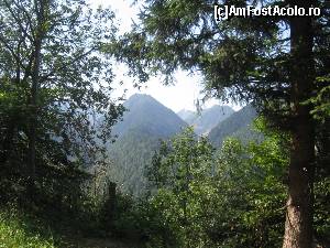 [P06] Muntii vazuti din luminisurile de pe sosea » foto by Michi
 - 
<span class="allrVoted glyphicon glyphicon-heart hidden" id="av544840"></span>
<a class="m-l-10 hidden" id="sv544840" onclick="voting_Foto_DelVot(,544840,1790)" role="button">șterge vot <span class="glyphicon glyphicon-remove"></span></a>
<a id="v9544840" class=" c-red"  onclick="voting_Foto_SetVot(544840)" role="button"><span class="glyphicon glyphicon-heart-empty"></span> <b>LIKE</b> = Votează poza</a> <img class="hidden"  id="f544840W9" src="/imagini/loader.gif" border="0" /><span class="AjErrMes hidden" id="e544840ErM"></span>