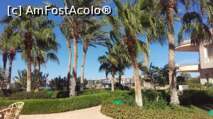 [P02]  -- <small>// FĂRĂ DESCRIERE</small> » foto by Adela88
 - 
<span class="allrVoted glyphicon glyphicon-heart hidden" id="av1011338"></span>
<a class="m-l-10 hidden" id="sv1011338" onclick="voting_Foto_DelVot(,1011338,1795)" role="button">șterge vot <span class="glyphicon glyphicon-remove"></span></a>
<a id="v91011338" class=" c-red"  onclick="voting_Foto_SetVot(1011338)" role="button"><span class="glyphicon glyphicon-heart-empty"></span> <b>LIKE</b> = Votează poza</a> <img class="hidden"  id="f1011338W9" src="/imagini/loader.gif" border="0" /><span class="AjErrMes hidden" id="e1011338ErM"></span>