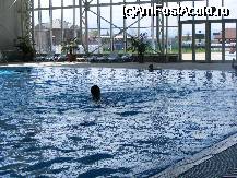 [P12] Piscina olimpica » foto by lucianaalex
 - 
<span class="allrVoted glyphicon glyphicon-heart hidden" id="av55523"></span>
<a class="m-l-10 hidden" id="sv55523" onclick="voting_Foto_DelVot(,55523,1819)" role="button">șterge vot <span class="glyphicon glyphicon-remove"></span></a>
<a id="v955523" class=" c-red"  onclick="voting_Foto_SetVot(55523)" role="button"><span class="glyphicon glyphicon-heart-empty"></span> <b>LIKE</b> = Votează poza</a> <img class="hidden"  id="f55523W9" src="/imagini/loader.gif" border="0" /><span class="AjErrMes hidden" id="e55523ErM"></span>