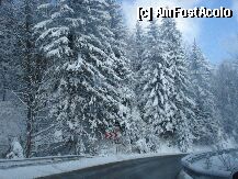 [P01] drumul catre Poiana Brasov  » foto by turist_calatorescu*
 - 
<span class="allrVoted glyphicon glyphicon-heart hidden" id="av6505"></span>
<a class="m-l-10 hidden" id="sv6505" onclick="voting_Foto_DelVot(,6505,1834)" role="button">șterge vot <span class="glyphicon glyphicon-remove"></span></a>
<a id="v96505" class=" c-red"  onclick="voting_Foto_SetVot(6505)" role="button"><span class="glyphicon glyphicon-heart-empty"></span> <b>LIKE</b> = Votează poza</a> <img class="hidden"  id="f6505W9" src="/imagini/loader.gif" border="0" /><span class="AjErrMes hidden" id="e6505ErM"></span>