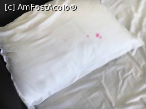 [P04] lenjerie murdara » foto by to_alex1
 - 
<span class="allrVoted glyphicon glyphicon-heart hidden" id="av1244302"></span>
<a class="m-l-10 hidden" id="sv1244302" onclick="voting_Foto_DelVot(,1244302,1869)" role="button">șterge vot <span class="glyphicon glyphicon-remove"></span></a>
<a id="v91244302" class=" c-red"  onclick="voting_Foto_SetVot(1244302)" role="button"><span class="glyphicon glyphicon-heart-empty"></span> <b>LIKE</b> = Votează poza</a> <img class="hidden"  id="f1244302W9" src="/imagini/loader.gif" border="0" /><span class="AjErrMes hidden" id="e1244302ErM"></span>