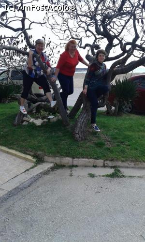 [P13] 3 Motate in copacul din gradinita hotelului » foto by marival
 - 
<span class="allrVoted glyphicon glyphicon-heart hidden" id="av962854"></span>
<a class="m-l-10 hidden" id="sv962854" onclick="voting_Foto_DelVot(,962854,1869)" role="button">șterge vot <span class="glyphicon glyphicon-remove"></span></a>
<a id="v9962854" class=" c-red"  onclick="voting_Foto_SetVot(962854)" role="button"><span class="glyphicon glyphicon-heart-empty"></span> <b>LIKE</b> = Votează poza</a> <img class="hidden"  id="f962854W9" src="/imagini/loader.gif" border="0" /><span class="AjErrMes hidden" id="e962854ErM"></span>