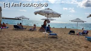 [P08] Plaja hotelului » foto by Ccucu
 - 
<span class="allrVoted glyphicon glyphicon-heart hidden" id="av1182251"></span>
<a class="m-l-10 hidden" id="sv1182251" onclick="voting_Foto_DelVot(,1182251,1869)" role="button">șterge vot <span class="glyphicon glyphicon-remove"></span></a>
<a id="v91182251" class=" c-red"  onclick="voting_Foto_SetVot(1182251)" role="button"><span class="glyphicon glyphicon-heart-empty"></span> <b>LIKE</b> = Votează poza</a> <img class="hidden"  id="f1182251W9" src="/imagini/loader.gif" border="0" /><span class="AjErrMes hidden" id="e1182251ErM"></span>