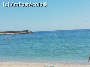 [P06]  -- <small>// FĂRĂ DESCRIERE</small> » foto by Carinalor
 - 
<span class="allrVoted glyphicon glyphicon-heart hidden" id="av1090549"></span>
<a class="m-l-10 hidden" id="sv1090549" onclick="voting_Foto_DelVot(,1090549,1869)" role="button">șterge vot <span class="glyphicon glyphicon-remove"></span></a>
<a id="v91090549" class=" c-red"  onclick="voting_Foto_SetVot(1090549)" role="button"><span class="glyphicon glyphicon-heart-empty"></span> <b>LIKE</b> = Votează poza</a> <img class="hidden"  id="f1090549W9" src="/imagini/loader.gif" border="0" /><span class="AjErrMes hidden" id="e1090549ErM"></span>