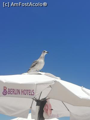 [P08]  -- <small>// FĂRĂ DESCRIERE</small> » foto by Carinalor
 - 
<span class="allrVoted glyphicon glyphicon-heart hidden" id="av1090551"></span>
<a class="m-l-10 hidden" id="sv1090551" onclick="voting_Foto_DelVot(,1090551,1869)" role="button">șterge vot <span class="glyphicon glyphicon-remove"></span></a>
<a id="v91090551" class=" c-red"  onclick="voting_Foto_SetVot(1090551)" role="button"><span class="glyphicon glyphicon-heart-empty"></span> <b>LIKE</b> = Votează poza</a> <img class="hidden"  id="f1090551W9" src="/imagini/loader.gif" border="0" /><span class="AjErrMes hidden" id="e1090551ErM"></span>