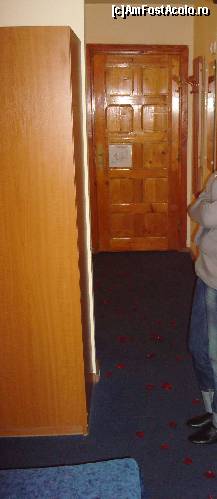 [P01] Holul camerei cu petale de trandafir » foto by pink_gabi*
 - 
<span class="allrVoted glyphicon glyphicon-heart hidden" id="av63198"></span>
<a class="m-l-10 hidden" id="sv63198" onclick="voting_Foto_DelVot(,63198,1905)" role="button">șterge vot <span class="glyphicon glyphicon-remove"></span></a>
<a id="v963198" class=" c-red"  onclick="voting_Foto_SetVot(63198)" role="button"><span class="glyphicon glyphicon-heart-empty"></span> <b>LIKE</b> = Votează poza</a> <img class="hidden"  id="f63198W9" src="/imagini/loader.gif" border="0" /><span class="AjErrMes hidden" id="e63198ErM"></span>