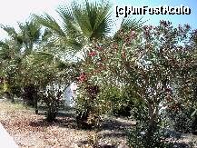 [P15]  -- <small>// FĂRĂ DESCRIERE</small> » foto by alex_iasi
 - 
<span class="allrVoted glyphicon glyphicon-heart hidden" id="av253689"></span>
<a class="m-l-10 hidden" id="sv253689" onclick="voting_Foto_DelVot(,253689,1933)" role="button">șterge vot <span class="glyphicon glyphicon-remove"></span></a>
<a id="v9253689" class=" c-red"  onclick="voting_Foto_SetVot(253689)" role="button"><span class="glyphicon glyphicon-heart-empty"></span> <b>LIKE</b> = Votează poza</a> <img class="hidden"  id="f253689W9" src="/imagini/loader.gif" border="0" /><span class="AjErrMes hidden" id="e253689ErM"></span>