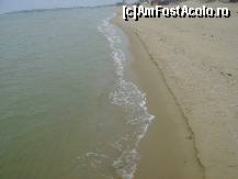 [P06]  -- <small>// FĂRĂ DESCRIERE</small> » foto by sniga
 - 
<span class="allrVoted glyphicon glyphicon-heart hidden" id="av61552"></span>
<a class="m-l-10 hidden" id="sv61552" onclick="voting_Foto_DelVot(,61552,1941)" role="button">șterge vot <span class="glyphicon glyphicon-remove"></span></a>
<a id="v961552" class=" c-red"  onclick="voting_Foto_SetVot(61552)" role="button"><span class="glyphicon glyphicon-heart-empty"></span> <b>LIKE</b> = Votează poza</a> <img class="hidden"  id="f61552W9" src="/imagini/loader.gif" border="0" /><span class="AjErrMes hidden" id="e61552ErM"></span>