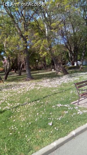 [P10] parcul de lângă mare Burgas » foto by steli68
 - 
<span class="allrVoted glyphicon glyphicon-heart hidden" id="av1067449"></span>
<a class="m-l-10 hidden" id="sv1067449" onclick="voting_Foto_DelVot(,1067449,1941)" role="button">șterge vot <span class="glyphicon glyphicon-remove"></span></a>
<a id="v91067449" class=" c-red"  onclick="voting_Foto_SetVot(1067449)" role="button"><span class="glyphicon glyphicon-heart-empty"></span> <b>LIKE</b> = Votează poza</a> <img class="hidden"  id="f1067449W9" src="/imagini/loader.gif" border="0" /><span class="AjErrMes hidden" id="e1067449ErM"></span>