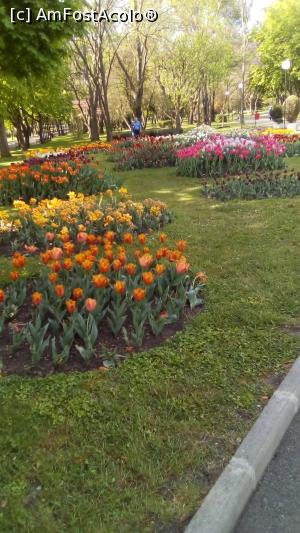 [P11] parc Burgas » foto by steli68
 - 
<span class="allrVoted glyphicon glyphicon-heart hidden" id="av1067450"></span>
<a class="m-l-10 hidden" id="sv1067450" onclick="voting_Foto_DelVot(,1067450,1941)" role="button">șterge vot <span class="glyphicon glyphicon-remove"></span></a>
<a id="v91067450" class=" c-red"  onclick="voting_Foto_SetVot(1067450)" role="button"><span class="glyphicon glyphicon-heart-empty"></span> <b>LIKE</b> = Votează poza</a> <img class="hidden"  id="f1067450W9" src="/imagini/loader.gif" border="0" /><span class="AjErrMes hidden" id="e1067450ErM"></span>