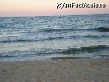 [P02] marea » foto by lucianaalex
 - 
<span class="allrVoted glyphicon glyphicon-heart hidden" id="av54091"></span>
<a class="m-l-10 hidden" id="sv54091" onclick="voting_Foto_DelVot(,54091,1946)" role="button">șterge vot <span class="glyphicon glyphicon-remove"></span></a>
<a id="v954091" class=" c-red"  onclick="voting_Foto_SetVot(54091)" role="button"><span class="glyphicon glyphicon-heart-empty"></span> <b>LIKE</b> = Votează poza</a> <img class="hidden"  id="f54091W9" src="/imagini/loader.gif" border="0" /><span class="AjErrMes hidden" id="e54091ErM"></span>