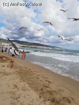 [P04] plaja, cu pescaruri » foto by fla41
 - 
<span class="allrVoted glyphicon glyphicon-heart hidden" id="av1277112"></span>
<a class="m-l-10 hidden" id="sv1277112" onclick="voting_Foto_DelVot(,1277112,1946)" role="button">șterge vot <span class="glyphicon glyphicon-remove"></span></a>
<a id="v91277112" class=" c-red"  onclick="voting_Foto_SetVot(1277112)" role="button"><span class="glyphicon glyphicon-heart-empty"></span> <b>LIKE</b> = Votează poza</a> <img class="hidden"  id="f1277112W9" src="/imagini/loader.gif" border="0" /><span class="AjErrMes hidden" id="e1277112ErM"></span>