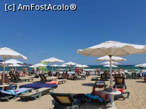 [P03]  -- <small>// FĂRĂ DESCRIERE</small> » foto by aandrei2
 - 
<span class="allrVoted glyphicon glyphicon-heart hidden" id="av1243946"></span>
<a class="m-l-10 hidden" id="sv1243946" onclick="voting_Foto_DelVot(,1243946,1946)" role="button">șterge vot <span class="glyphicon glyphicon-remove"></span></a>
<a id="v91243946" class=" c-red"  onclick="voting_Foto_SetVot(1243946)" role="button"><span class="glyphicon glyphicon-heart-empty"></span> <b>LIKE</b> = Votează poza</a> <img class="hidden"  id="f1243946W9" src="/imagini/loader.gif" border="0" /><span class="AjErrMes hidden" id="e1243946ErM"></span>