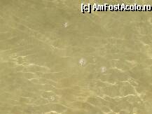 [P32]  -- <small>// FĂRĂ DESCRIERE</small> » foto by rezan.mircea
 - 
<span class="allrVoted glyphicon glyphicon-heart hidden" id="av6790"></span>
<a class="m-l-10 hidden" id="sv6790" onclick="voting_Foto_DelVot(,6790,1951)" role="button">șterge vot <span class="glyphicon glyphicon-remove"></span></a>
<a id="v96790" class=" c-red"  onclick="voting_Foto_SetVot(6790)" role="button"><span class="glyphicon glyphicon-heart-empty"></span> <b>LIKE</b> = Votează poza</a> <img class="hidden"  id="f6790W9" src="/imagini/loader.gif" border="0" /><span class="AjErrMes hidden" id="e6790ErM"></span>