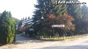 [P02] Hotel Moneasa privit de la strada principală » foto by Viorel73
 - 
<span class="allrVoted glyphicon glyphicon-heart hidden" id="av660939"></span>
<a class="m-l-10 hidden" id="sv660939" onclick="voting_Foto_DelVot(,660939,1981)" role="button">șterge vot <span class="glyphicon glyphicon-remove"></span></a>
<a id="v9660939" class=" c-red"  onclick="voting_Foto_SetVot(660939)" role="button"><span class="glyphicon glyphicon-heart-empty"></span> <b>LIKE</b> = Votează poza</a> <img class="hidden"  id="f660939W9" src="/imagini/loader.gif" border="0" /><span class="AjErrMes hidden" id="e660939ErM"></span>