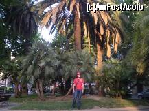 [P44] Am Fost Acolo BARCELONA !!! » foto by RobertCodescu
 - 
<span class="allrVoted glyphicon glyphicon-heart hidden" id="av149516"></span>
<a class="m-l-10 hidden" id="sv149516" onclick="voting_Foto_DelVot(,149516,1999)" role="button">șterge vot <span class="glyphicon glyphicon-remove"></span></a>
<a id="v9149516" class=" c-red"  onclick="voting_Foto_SetVot(149516)" role="button"><span class="glyphicon glyphicon-heart-empty"></span> <b>LIKE</b> = Votează poza</a> <img class="hidden"  id="f149516W9" src="/imagini/loader.gif" border="0" /><span class="AjErrMes hidden" id="e149516ErM"></span>