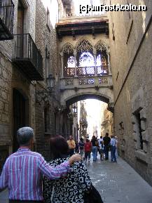[P05] Straduta din Barri Gotic, cartierul vechi al Barcelonei » foto by zpedro*
 - 
<span class="allrVoted glyphicon glyphicon-heart hidden" id="av95869"></span>
<a class="m-l-10 hidden" id="sv95869" onclick="voting_Foto_DelVot(,95869,1999)" role="button">șterge vot <span class="glyphicon glyphicon-remove"></span></a>
<a id="v995869" class=" c-red"  onclick="voting_Foto_SetVot(95869)" role="button"><span class="glyphicon glyphicon-heart-empty"></span> <b>LIKE</b> = Votează poza</a> <img class="hidden"  id="f95869W9" src="/imagini/loader.gif" border="0" /><span class="AjErrMes hidden" id="e95869ErM"></span>