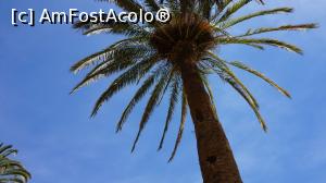 [P03]  -- <small>// FĂRĂ DESCRIERE</small> » foto by fra
 - 
<span class="allrVoted glyphicon glyphicon-heart hidden" id="av868300"></span>
<a class="m-l-10 hidden" id="sv868300" onclick="voting_Foto_DelVot(,868300,1999)" role="button">șterge vot <span class="glyphicon glyphicon-remove"></span></a>
<a id="v9868300" class=" c-red"  onclick="voting_Foto_SetVot(868300)" role="button"><span class="glyphicon glyphicon-heart-empty"></span> <b>LIKE</b> = Votează poza</a> <img class="hidden"  id="f868300W9" src="/imagini/loader.gif" border="0" /><span class="AjErrMes hidden" id="e868300ErM"></span>