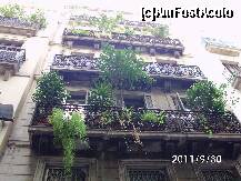 [P23] pe cand si la noi asa ceva?
parca e o placere sa traiesti cu picul tau de verdeata pe balcon. » foto by roth
 - 
<span class="allrVoted glyphicon glyphicon-heart hidden" id="av266063"></span>
<a class="m-l-10 hidden" id="sv266063" onclick="voting_Foto_DelVot(,266063,1999)" role="button">șterge vot <span class="glyphicon glyphicon-remove"></span></a>
<a id="v9266063" class=" c-red"  onclick="voting_Foto_SetVot(266063)" role="button"><span class="glyphicon glyphicon-heart-empty"></span> <b>LIKE</b> = Votează poza</a> <img class="hidden"  id="f266063W9" src="/imagini/loader.gif" border="0" /><span class="AjErrMes hidden" id="e266063ErM"></span>