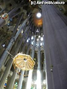 [P13] Sagrada Familia - interior. » foto by TraianS
 - 
<span class="allrVoted glyphicon glyphicon-heart hidden" id="av294143"></span>
<a class="m-l-10 hidden" id="sv294143" onclick="voting_Foto_DelVot(,294143,1999)" role="button">șterge vot <span class="glyphicon glyphicon-remove"></span></a>
<a id="v9294143" class=" c-red"  onclick="voting_Foto_SetVot(294143)" role="button"><span class="glyphicon glyphicon-heart-empty"></span> <b>LIKE</b> = Votează poza</a> <img class="hidden"  id="f294143W9" src="/imagini/loader.gif" border="0" /><span class="AjErrMes hidden" id="e294143ErM"></span>