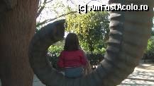 [P80] Pe Trompa Mamutului. Parcul La Ciutadella. » foto by TraianS
 - 
<span class="allrVoted glyphicon glyphicon-heart hidden" id="av294281"></span>
<a class="m-l-10 hidden" id="sv294281" onclick="voting_Foto_DelVot(,294281,1999)" role="button">șterge vot <span class="glyphicon glyphicon-remove"></span></a>
<a id="v9294281" class=" c-red"  onclick="voting_Foto_SetVot(294281)" role="button"><span class="glyphicon glyphicon-heart-empty"></span> <b>LIKE</b> = Votează poza</a> <img class="hidden"  id="f294281W9" src="/imagini/loader.gif" border="0" /><span class="AjErrMes hidden" id="e294281ErM"></span>