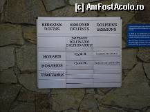 [P93] Programele cu delfini din ziua respectiva si limba. E bine sa vedeti pagina Zoo si programul pentru ziua cand doriti sa vizitati. Gradina Zoologica. » foto by TraianS
 - 
<span class="allrVoted glyphicon glyphicon-heart hidden" id="av294306"></span>
<a class="m-l-10 hidden" id="sv294306" onclick="voting_Foto_DelVot(,294306,1999)" role="button">șterge vot <span class="glyphicon glyphicon-remove"></span></a>
<a id="v9294306" class=" c-red"  onclick="voting_Foto_SetVot(294306)" role="button"><span class="glyphicon glyphicon-heart-empty"></span> <b>LIKE</b> = Votează poza</a> <img class="hidden"  id="f294306W9" src="/imagini/loader.gif" border="0" /><span class="AjErrMes hidden" id="e294306ErM"></span>