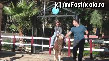[P99] Cu poneica .. :) Gradina Zoologica. » foto by TraianS
 - 
<span class="allrVoted glyphicon glyphicon-heart hidden" id="av294325"></span>
<a class="m-l-10 hidden" id="sv294325" onclick="voting_Foto_DelVot(,294325,1999)" role="button">șterge vot <span class="glyphicon glyphicon-remove"></span></a>
<a id="v9294325" class=" c-red"  onclick="voting_Foto_SetVot(294325)" role="button"><span class="glyphicon glyphicon-heart-empty"></span> <b>LIKE</b> = Votează poza</a> <img class="hidden"  id="f294325W9" src="/imagini/loader.gif" border="0" /><span class="AjErrMes hidden" id="e294325ErM"></span>
