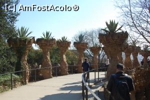 [P17] Alee in parc » foto by pmanuela
 - 
<span class="allrVoted glyphicon glyphicon-heart hidden" id="av866349"></span>
<a class="m-l-10 hidden" id="sv866349" onclick="voting_Foto_DelVot(,866349,1999)" role="button">șterge vot <span class="glyphicon glyphicon-remove"></span></a>
<a id="v9866349" class=" c-red"  onclick="voting_Foto_SetVot(866349)" role="button"><span class="glyphicon glyphicon-heart-empty"></span> <b>LIKE</b> = Votează poza</a> <img class="hidden"  id="f866349W9" src="/imagini/loader.gif" border="0" /><span class="AjErrMes hidden" id="e866349ErM"></span>
