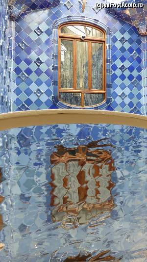 [P06] Valurile mării din Casa Batllo » foto by iuliaen
 - 
<span class="allrVoted glyphicon glyphicon-heart hidden" id="av612277"></span>
<a class="m-l-10 hidden" id="sv612277" onclick="voting_Foto_DelVot(,612277,1999)" role="button">șterge vot <span class="glyphicon glyphicon-remove"></span></a>
<a id="v9612277" class=" c-red"  onclick="voting_Foto_SetVot(612277)" role="button"><span class="glyphicon glyphicon-heart-empty"></span> <b>LIKE</b> = Votează poza</a> <img class="hidden"  id="f612277W9" src="/imagini/loader.gif" border="0" /><span class="AjErrMes hidden" id="e612277ErM"></span>