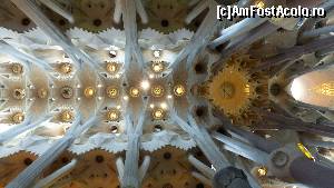 [P15] Alte detalii ale cupolei bazilicii Sagrada Familia » foto by iuliaen
 - 
<span class="allrVoted glyphicon glyphicon-heart hidden" id="av616318"></span>
<a class="m-l-10 hidden" id="sv616318" onclick="voting_Foto_DelVot(,616318,1999)" role="button">șterge vot <span class="glyphicon glyphicon-remove"></span></a>
<a id="v9616318" class=" c-red"  onclick="voting_Foto_SetVot(616318)" role="button"><span class="glyphicon glyphicon-heart-empty"></span> <b>LIKE</b> = Votează poza</a> <img class="hidden"  id="f616318W9" src="/imagini/loader.gif" border="0" /><span class="AjErrMes hidden" id="e616318ErM"></span>