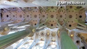 [P03] Coloanele sub formă de copaci din Sagrada Familia » foto by iuliaen
 - 
<span class="allrVoted glyphicon glyphicon-heart hidden" id="av616305"></span>
<a class="m-l-10 hidden" id="sv616305" onclick="voting_Foto_DelVot(,616305,1999)" role="button">șterge vot <span class="glyphicon glyphicon-remove"></span></a>
<a id="v9616305" class=" c-red"  onclick="voting_Foto_SetVot(616305)" role="button"><span class="glyphicon glyphicon-heart-empty"></span> <b>LIKE</b> = Votează poza</a> <img class="hidden"  id="f616305W9" src="/imagini/loader.gif" border="0" /><span class="AjErrMes hidden" id="e616305ErM"></span>