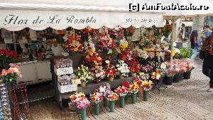 [P10] Florarie pe bulevardul Rambla.  » foto by ania
 - 
<span class="allrVoted glyphicon glyphicon-heart hidden" id="av569468"></span>
<a class="m-l-10 hidden" id="sv569468" onclick="voting_Foto_DelVot(,569468,1999)" role="button">șterge vot <span class="glyphicon glyphicon-remove"></span></a>
<a id="v9569468" class=" c-red"  onclick="voting_Foto_SetVot(569468)" role="button"><span class="glyphicon glyphicon-heart-empty"></span> <b>LIKE</b> = Votează poza</a> <img class="hidden"  id="f569468W9" src="/imagini/loader.gif" border="0" /><span class="AjErrMes hidden" id="e569468ErM"></span>