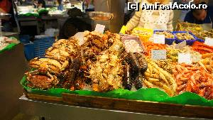 [P11] Aici suntem in Mercat de Sant Josep de la Boqueria.  » foto by ania
 - 
<span class="allrVoted glyphicon glyphicon-heart hidden" id="av569469"></span>
<a class="m-l-10 hidden" id="sv569469" onclick="voting_Foto_DelVot(,569469,1999)" role="button">șterge vot <span class="glyphicon glyphicon-remove"></span></a>
<a id="v9569469" class=" c-red"  onclick="voting_Foto_SetVot(569469)" role="button"><span class="glyphicon glyphicon-heart-empty"></span> <b>LIKE</b> = Votează poza</a> <img class="hidden"  id="f569469W9" src="/imagini/loader.gif" border="0" /><span class="AjErrMes hidden" id="e569469ErM"></span>