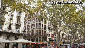 [P18] Cladiri frumoase pe Rambla.  » foto by ania
 - 
<span class="allrVoted glyphicon glyphicon-heart hidden" id="av569476"></span>
<a class="m-l-10 hidden" id="sv569476" onclick="voting_Foto_DelVot(,569476,1999)" role="button">șterge vot <span class="glyphicon glyphicon-remove"></span></a>
<a id="v9569476" class=" c-red"  onclick="voting_Foto_SetVot(569476)" role="button"><span class="glyphicon glyphicon-heart-empty"></span> <b>LIKE</b> = Votează poza</a> <img class="hidden"  id="f569476W9" src="/imagini/loader.gif" border="0" /><span class="AjErrMes hidden" id="e569476ErM"></span>